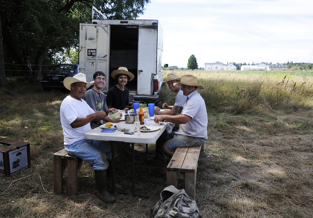 Each year our farm hosts many volunteers and students who come to learn and experience modern ecological farming methods and concepts. Farm life allows for an opportunity for exchange and connection with each other and with the earth.   Many who come say that they feel renewed and reinvigorated, after their stay with us. So we have come to realize that in more ways than one the farm can produce two crops, both that aid in healing and health, one is produced when it is eaten, the other by the very process of growing it!